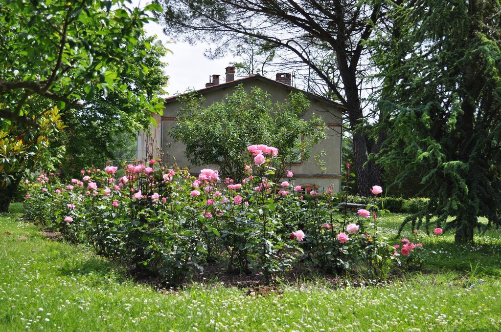 Domaine De Belcayre Bed & Breakfast Montauban Ngoại thất bức ảnh